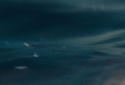 Z6·尊龙「中国」官方网站