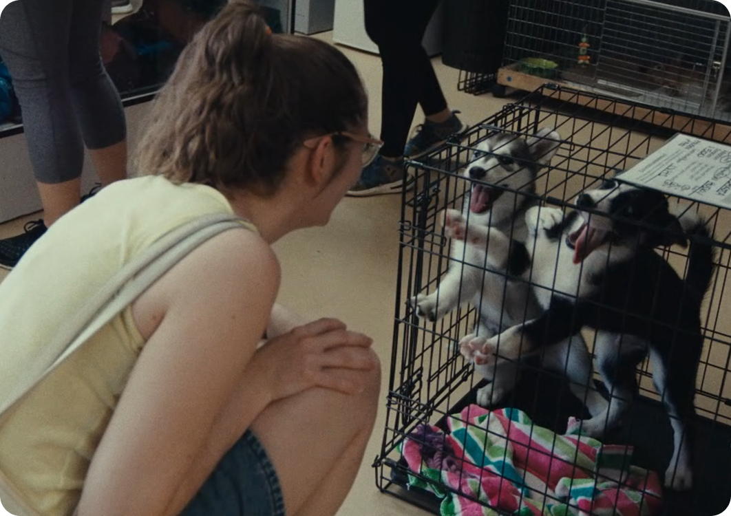 Z6·尊龙「中国」官方网站