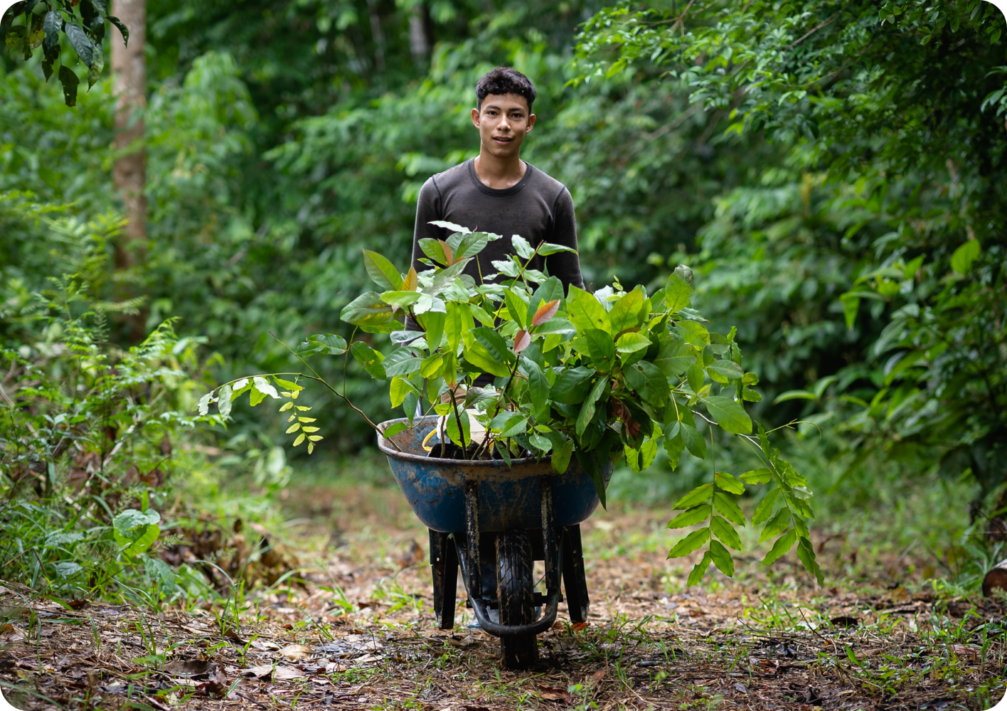 Z6·尊龙「中国」官方网站